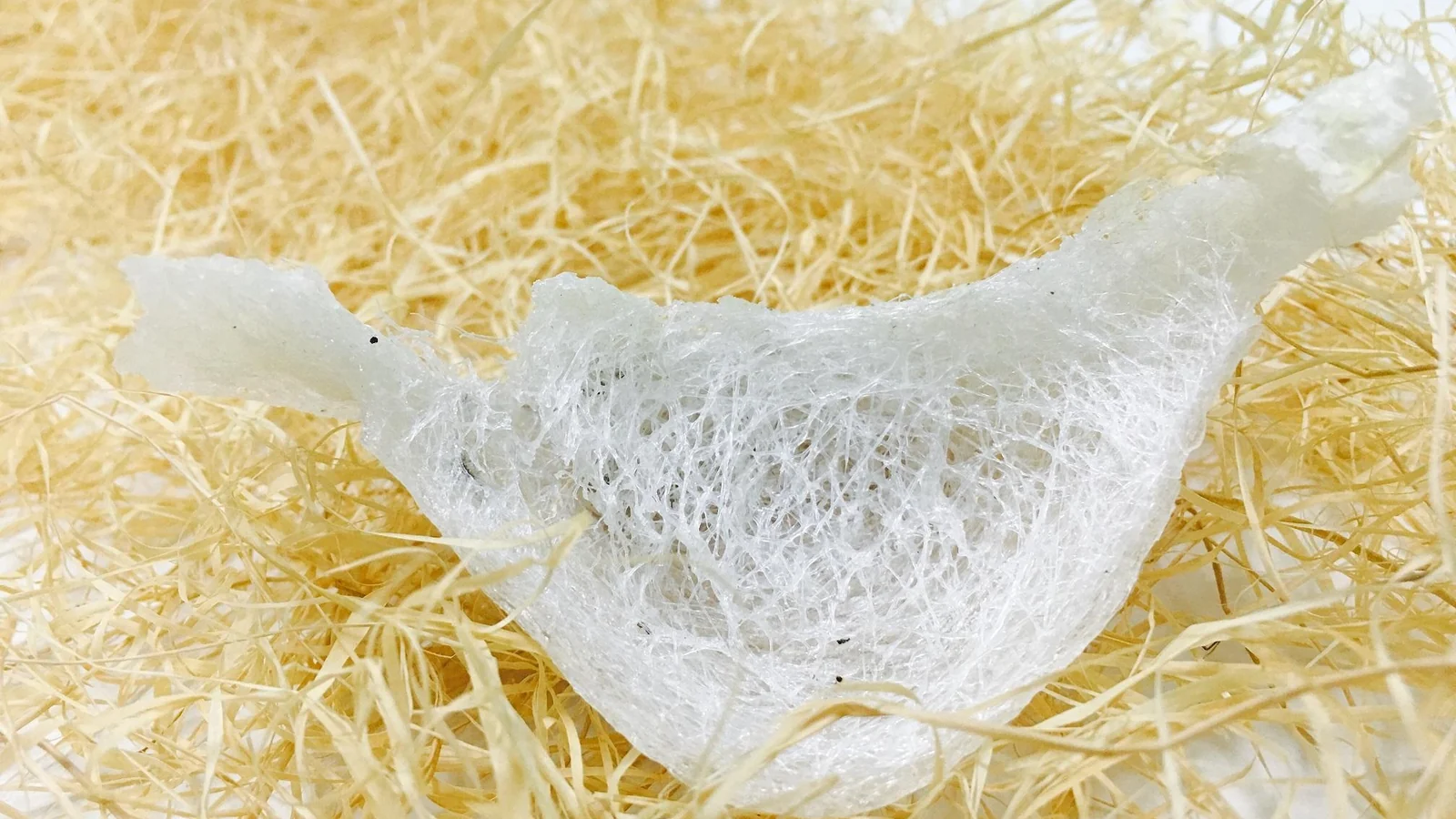 燕窝原料和分拣背景